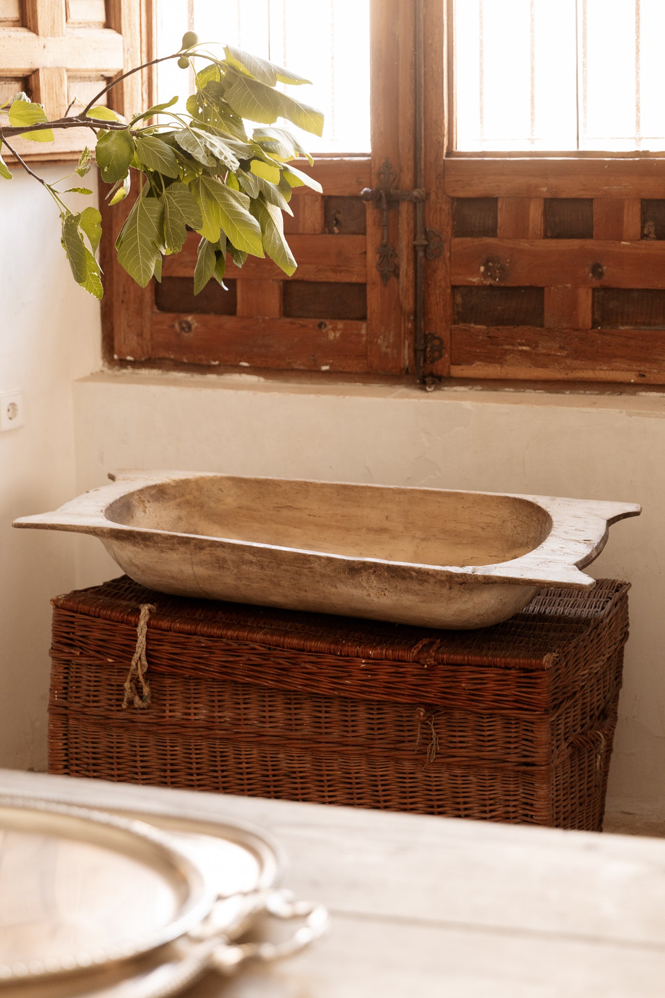 TAZÓN DE MASA GRANDE | No.2