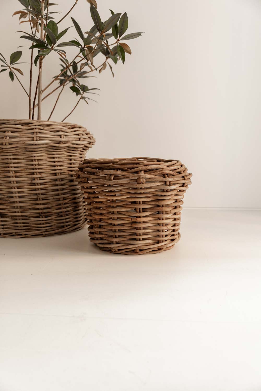 MACETEROS DE RATÁN COLECCIÓN BENUÉ