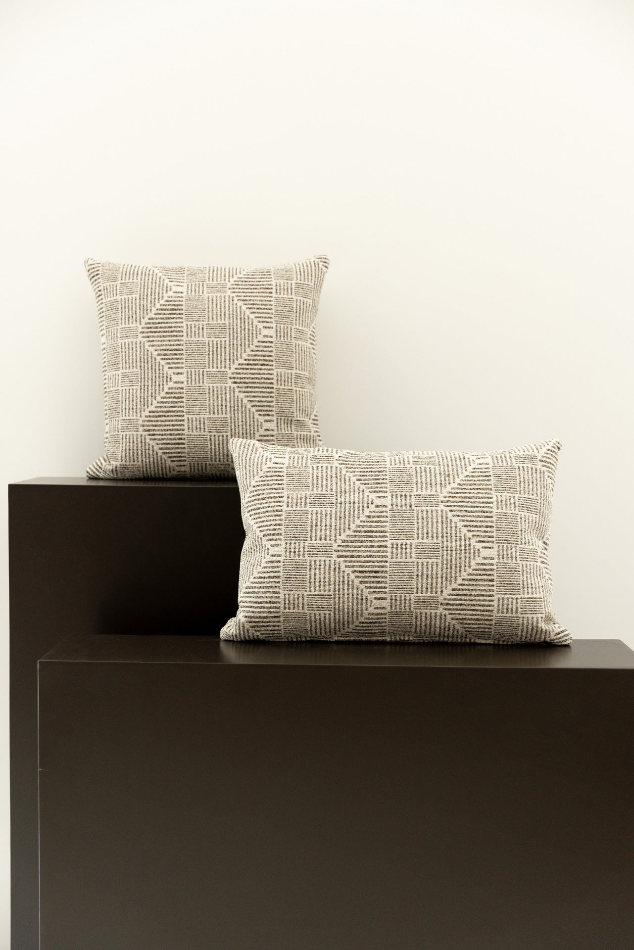 COJÍN ESTAMPADO NILO