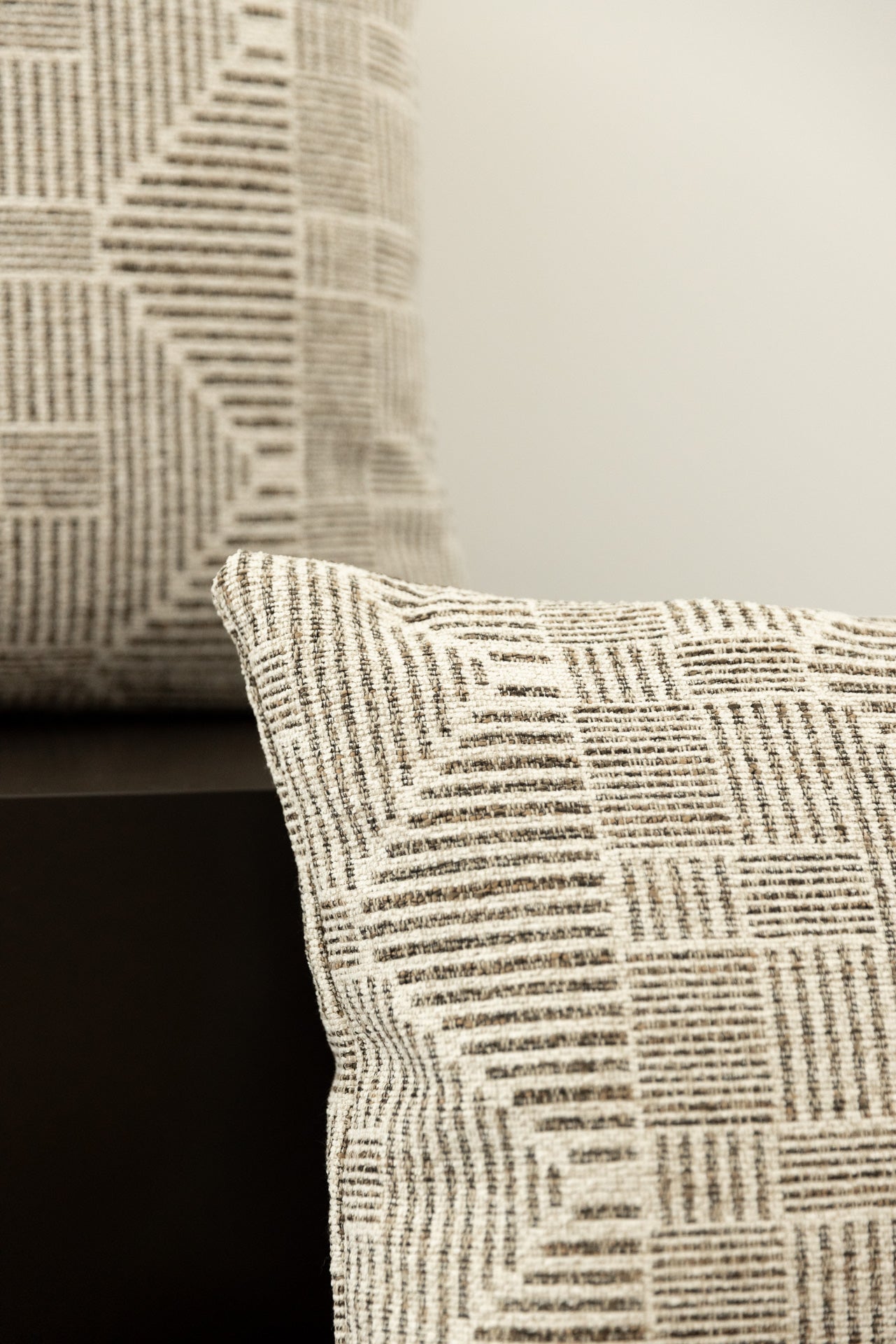 COJÍN ESTAMPADO NILO