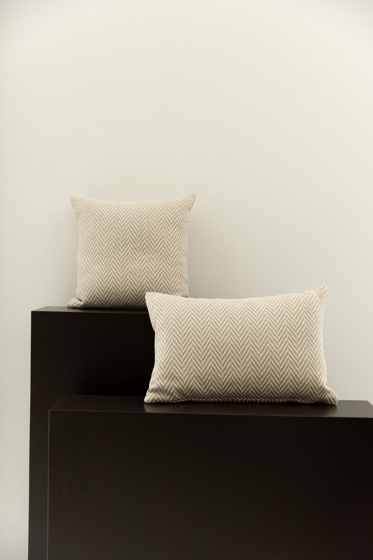 COJÍN ESTAMPADO KASAI