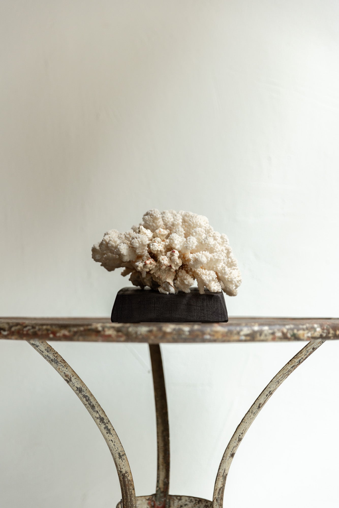 CORAL SOBRE PEANA DE MADERA | No.7