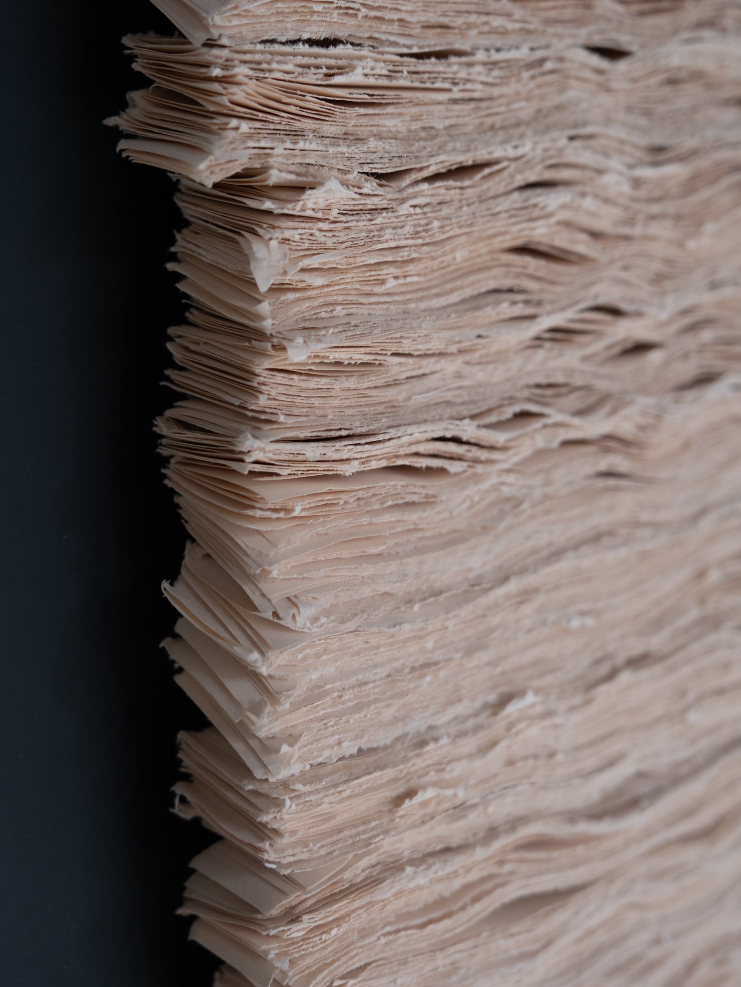 OBRA DE ELENA MORALES | No.2