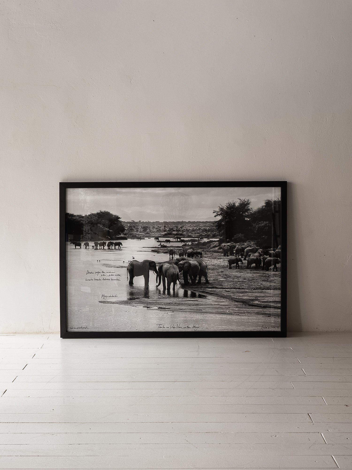 TEMBO NA UASO NARO. NORTHERN KENYA, 1999