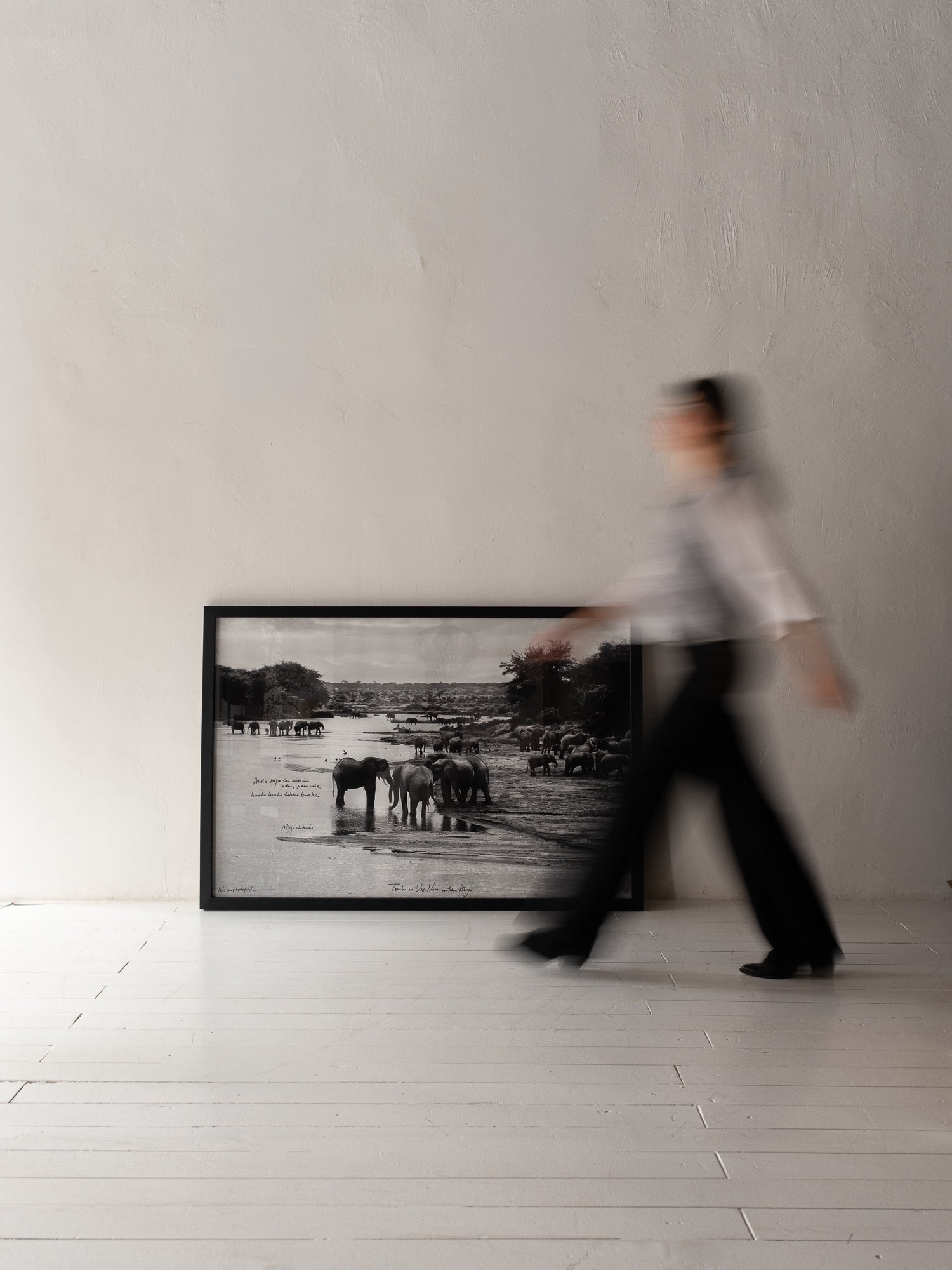 TEMBO NA UASO NARO. NORTHERN KENYA, 1999